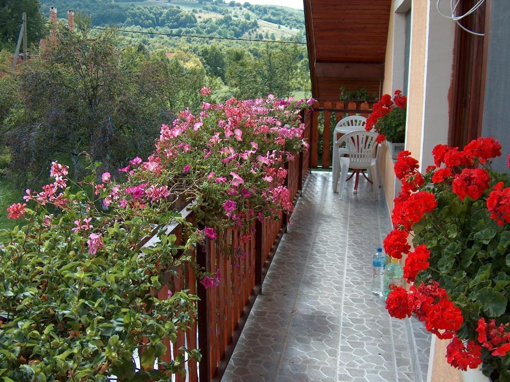 Apartments Ana Smoljanac Rom bilde